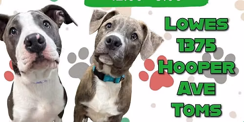 Lowe\u2019s Meet & Greet