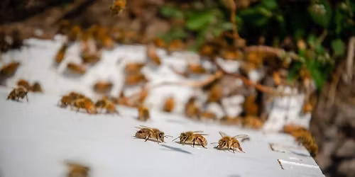 Market on the River Pop-up