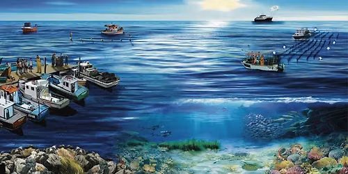 Rethink Fisheries Day \u2013 Pathways for a Just Transition