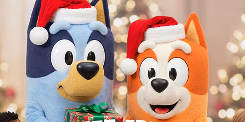 Holiday Meet & Greet with the Australian Pups