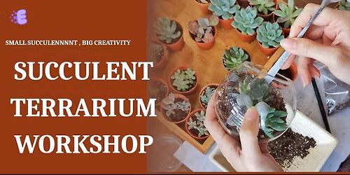 Succulent Terrarium Workshop