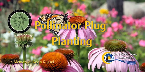 Pollinator Plug Planting