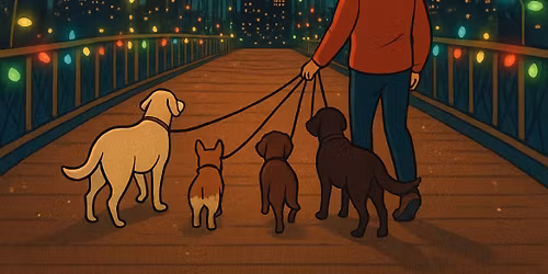 Christmas Lights Dog Walk \u2728\ud83c\udf84