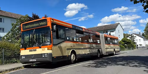 Krimilesung mit Weinprobe in den Weinbergen