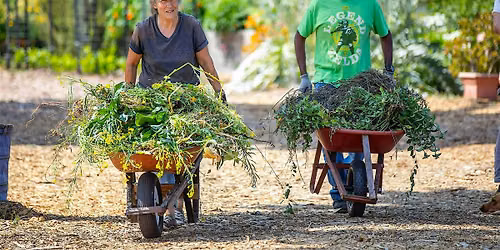 LEAF Urban Farm Volunteering