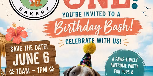 Hobbs is Turning One! Our First Public Event!