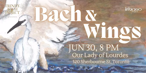 "Bach & Wings" returns