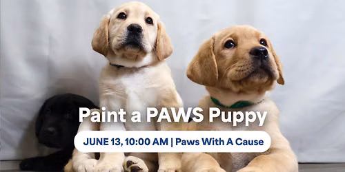 Paint a PAWS Puppy