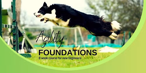 Agility Foundations Course