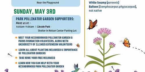 Milkweed Giveaway