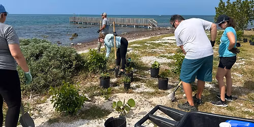 Camp Sawyer Planting Day 