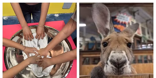 Twin City Slime & Sustainable Safari Field Trip