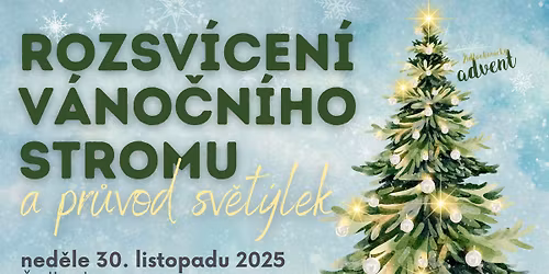 ROZSV\u00cdCEN\u00cd V\u00c1NO\u010cN\u00cdHO STROMU A PR\u016eVOD SV\u011aT\u00ddLEK