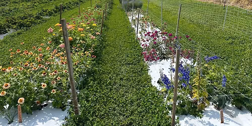Cut Flower Production Twight Meeting