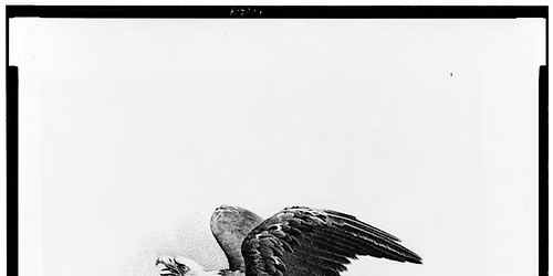 A250 - Honoring Our Revolutionary War Veterans