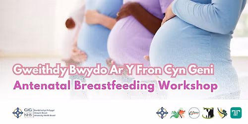 Monmouthshire Antenatal Breastfeeding Workshop