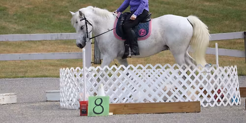 Working Equitation Clinic with Elizabeth Barker