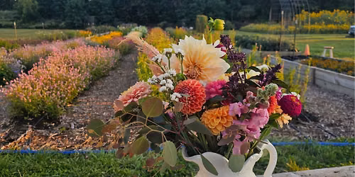 From Field to Bouquet: A Flower Farm Workshop