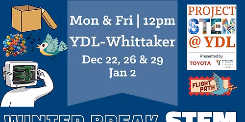 Winter Break STEM