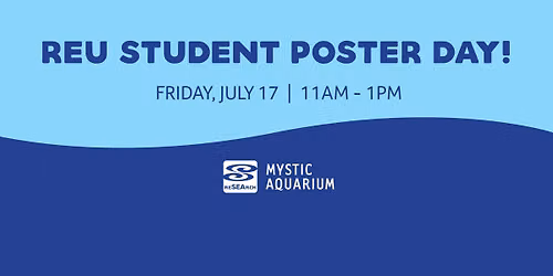 REU Student Poster Day