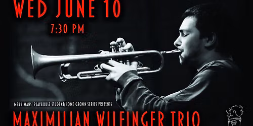 Maximilian Wilfinger Trio