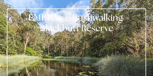 Blackbutt Reserve Bush Walk & Picnic Morning Tea