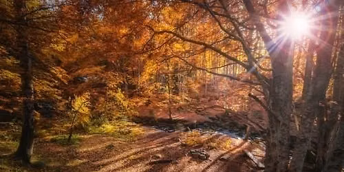 Mabon Celebration