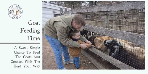 Goat Feeding Time