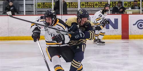 Northview at St. John's Jesuit Titans Hockey at Huntington Center