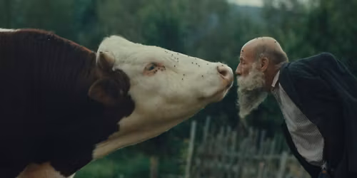 Vino V\u00e9rit\u00e9: BETTER GO MAD IN THE WILD