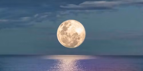 Kobiecy Kr\u0105g Manifestacji i Kryszta\u0142owych D\u017awi\u0119k\u00f3w 23.11.25