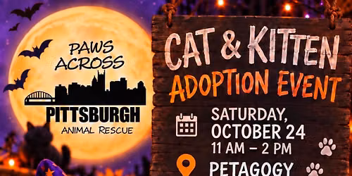 Cat\/Kitten Adoption Event