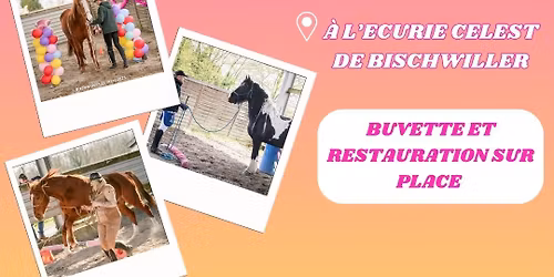 Concours Equifeel Championnat D\u00e9partemental 