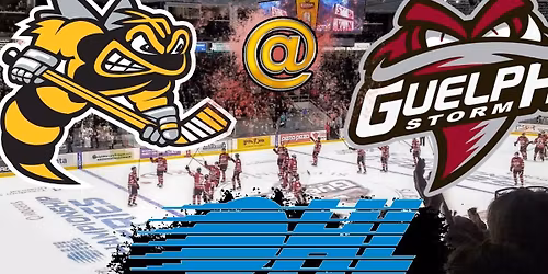 Sarnia Sting at Guelph Storm