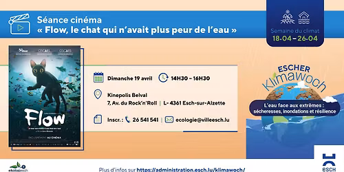 S\u00e9ance cin\u00e9ma "Flow, le chat qui n'avait plus peur de l'eau"