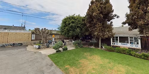 Costa Mesa - Dog dental cleaning