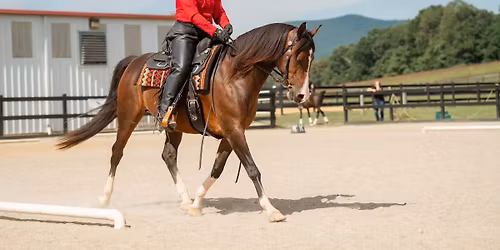 Double Edge Dressage Show #3