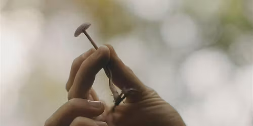 Fungi Tools