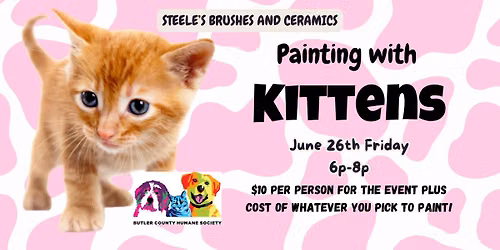 Painting With Kittens