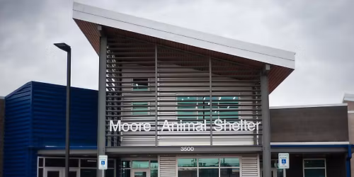 Half-Price Adoption Event at the Moore Animal Shelter - Nov 7 (9am-4pm) and Nov 8 (10am-2pm)