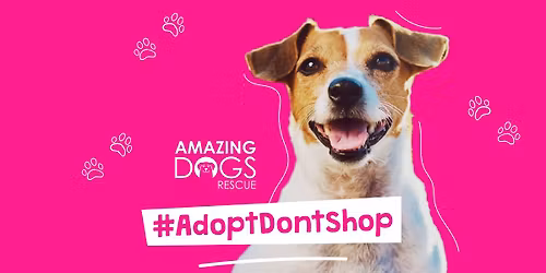 Sacramento, CA - Amazing Adoption Event