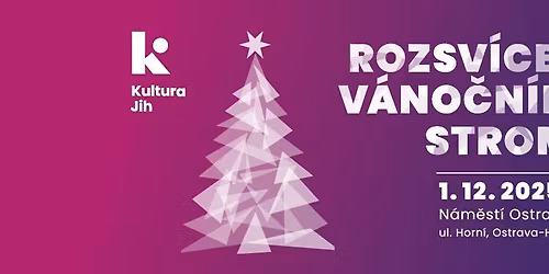 Rozsv\u00edcen\u00ed v\u00e1no\u010dn\u00edho stromu