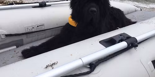 Cancelled - Water Training - Little Shoal Bay