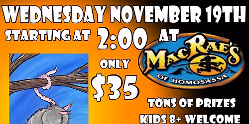 Branching Out in Homosassa