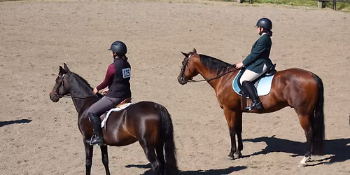Starting Gate Schooling Show