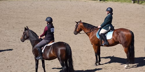 Starting Gate Schooling Show