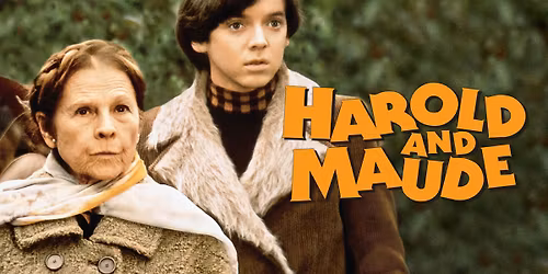 Film Screening - Harold and Maude (1971) 