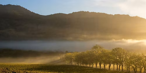 Grand Concourse- Stags' Leap Wine Dinner