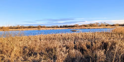 September Friday Walk -Staveley Nature Reserve - 5miles\/8km