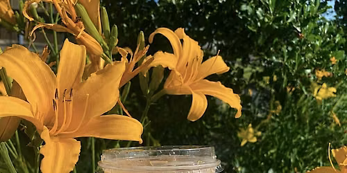 Iced Coffee Cup Painting